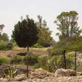 ...incredibile specchio d�acqua nascosto alla nostra vista dalla boscaglia e da un�alta recinzione